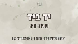 יד ביד- הכתרה שמיניתשפ״ד דרכי נעם- שירת נשים