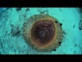 Antonio Palermo - Respect - Movie Teme | Bronzo Mondiale Video Subacqueo 2026