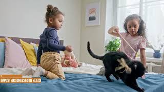 Do Black Cats Bring Good Or Bad Luck? 10 Amazing Facts About Black Cats You Probably Didn't Know by Hugging Cats 73 views 1 year ago 5 minutes, 6 seconds