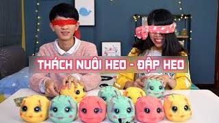 THÁCH NUÔI HEO - ĐẬP HEO