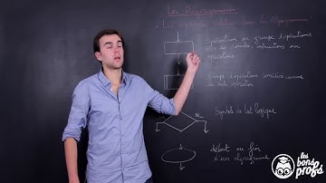 Algorigrammes   SI   1ère   Les Bons Profs   YouTube