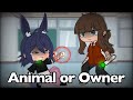 Pet or owner | MLB Meme | Gacha