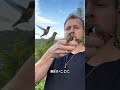 毎日かわいい動物をひとつ知ろう