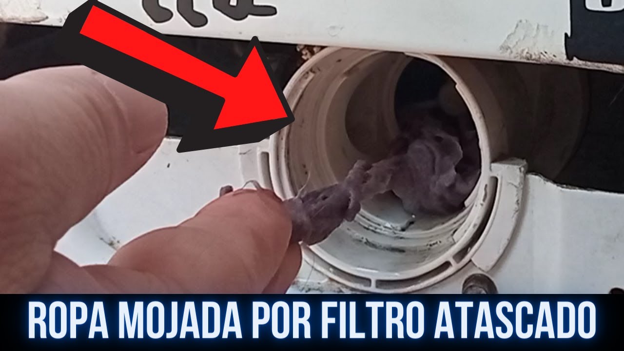 Qué pasa si dejas la ropa mojada muchas horas en la lavadora?