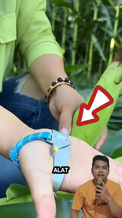 Alat Kupas Kulit Jagung #shorts #agriculture