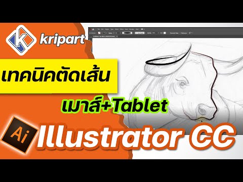 เทคนิคตัดเส้นเบื้องต้น มือใหม่ต้องรู้ | สอนดราฟภาพ Illustrator CC 2021