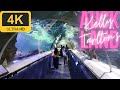 Kelly tarltons walking tour  aquarium  auckland  4k