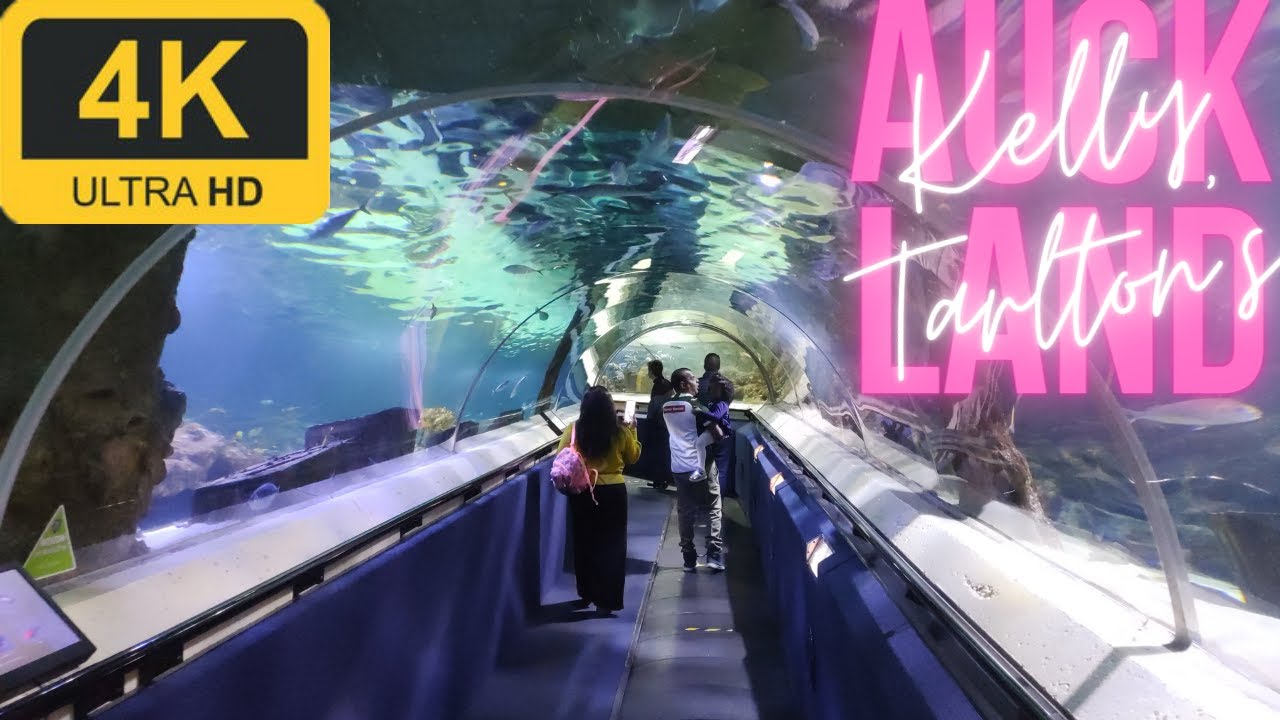 Kelly Tarlton's Walking Tour | Aquarium | Auckland | 4K