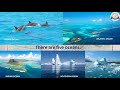 Continents And Oceans: A Fun Journey Through Earth's Land And Water