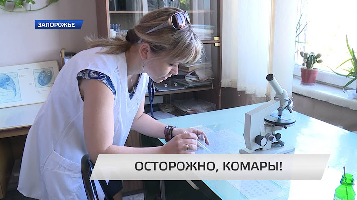 ОСТОРОЖНО, КОМАРЫ!