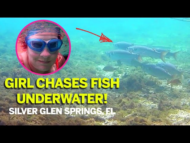 Girl Chases Fish Swimming at Silver Glen Springs Florida - Underwater  Footage! 