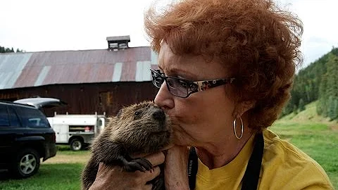 Beaver Rescue in Denver | Nature on PBS