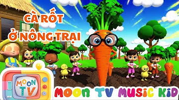 Nhạc thiếu nhi | Cà rốt vàng tươi ở nông trại | Cùng gia đình cà rốt khám phá nông trại