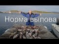 Суточная норма вылова. Новые правила рыбалки 2019.