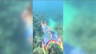 Life as a Professional Mermaid