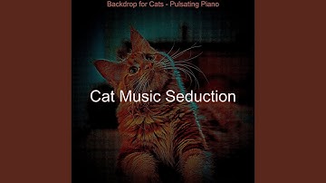 Pulsating Backdrops for Cats