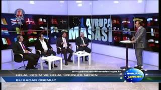 Avrupa Masasi P 3 11 06 2015mpg out