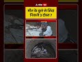Viral News: मौत के कुएं से जिंदा निकले 3 दोस्त? | #CarAccident #ViralVideo #WellAccident