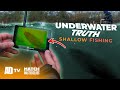 Underwater truth  whats the best shallow fishing rig  match masterclass