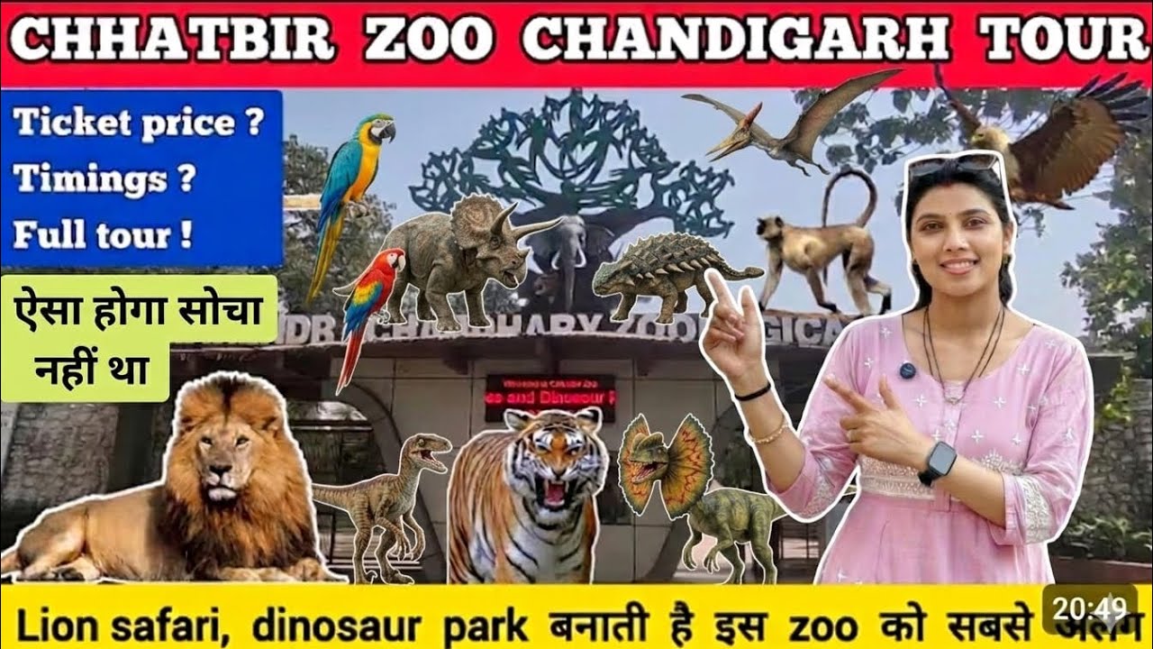 Chandigarh Zoo Tour 2026 🦁 | Dinosaur Park में ये क्या देखा? 😱 | Ticket Price, Timings & Full Guide