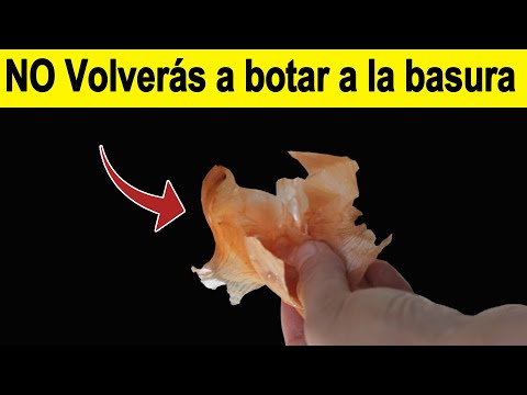 Desde que Supe Que la CÁSCARA de CEBOLLA hacía esto, Nunca más la volví a tirar a la basura