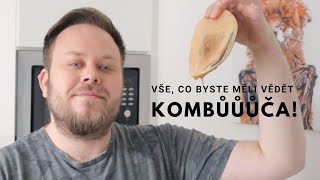 Kombucha! Vše, co byste měli vědět!