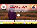فيا خسارة نفس في تجارتها mp3