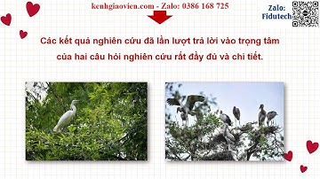 Giáo án powerpoint Bài 4 Viết: Viết báo cáo nghiên cứu về một vấn đề .. | GA điện tử Ngữ văn 11 CTST