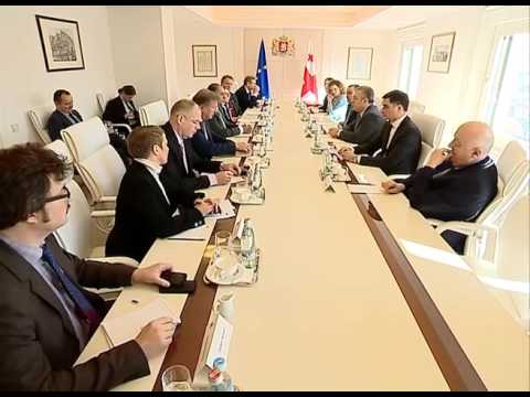 შეხვედრა ევროპარლამენტის დელეგაციასთან