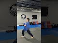 Taeguk Sam-Jang