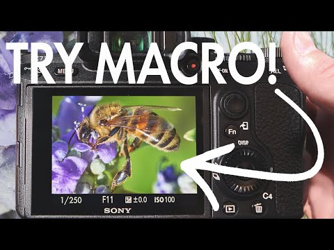Intro to MACRO Photography (TIPS to get you STARTED)