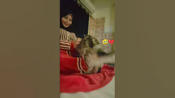 العين قسمتني اتنين 