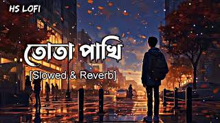 Tota Pakhi ( Slowed & Reverb) - Tanzil Misbah, Pronome Nafi, Shovon Roy | HS LOFI @hs_lofi-x1x