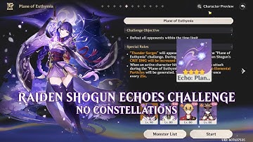 Raiden Shogun Echoes Plane of Euthymia Challenge Guide - No Constellations - C0 - Genshin