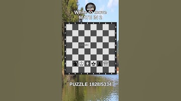 Chess puzzle series 🧩1828/5334 #chess #puzzle #learnchesstactics #magnuscarlsen #polgar #chessbooks