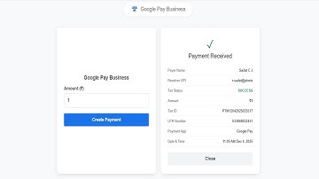 Google Pay Business Payment Verification | Instant Auto Verify System | Free API & Full Code