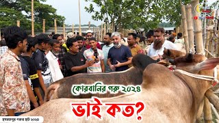 ভাই কত? হযরতপুর গরুর হাট থেকে কোরবানির গরু গুলো কে কত দিয়ে কিনছে দেখুন! কোরবানির গরু 2024