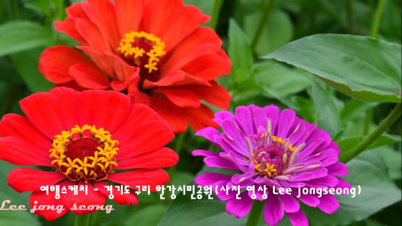 Watch Clint Black A Lovers Clown on YouTube Watch Clint Black A Lovers Clown on YouTube