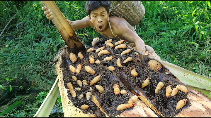 Cook Coconut worm Fillets delicious - Eat Coconut ...