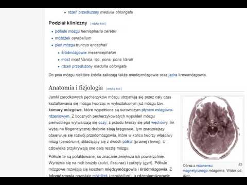 Wideo: Różnicowy Wpływ Chińskich Wysokotłuszczowych Nawyków żywieniowych Na Metabolizm Lipidów: Mechanizmy I Konsekwencje Zdrowotne