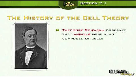 The Discovery of Cells