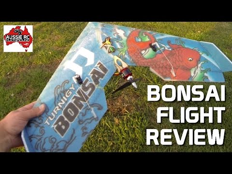 Radio Controlled Foam Planes Hobbyking Bonsai Ii Fail