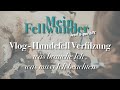 Mein Fellwunder Vlog - Hundefell Verfilzung // was brauche Ich, was muss Ich beachten