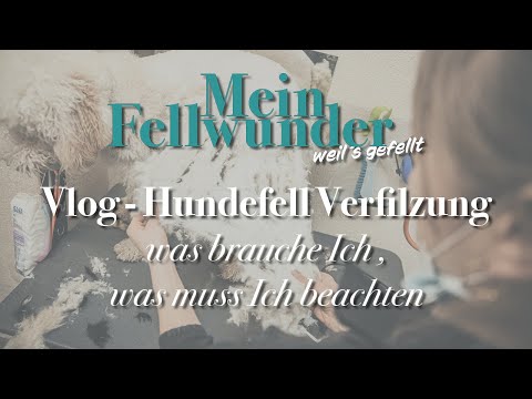 Video: Verfilztes Haar Bei Hunden – Wie Man Sie Kontrolliert Und Wann Man Aufgeben Sollte - Verfilzte Hundehaare Reparieren