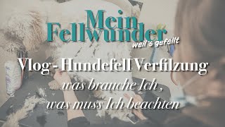 Mein Fellwunder Vlog  Hundefell Verfilzung // was brauche Ich, was muss Ich beachten