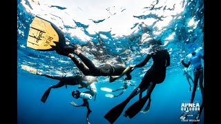 SEGUNDA JORNADA CAMPEONATO DE ESPAÑA OPEN DE APNEA OUTDOOR LANZAROTE