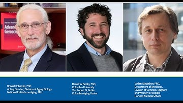 When Does Aging Begin? Part 1