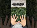 ASMR plant massage, tingles activated @KISS Nails #asmr #badasmr #massage #asmrmassage #plants