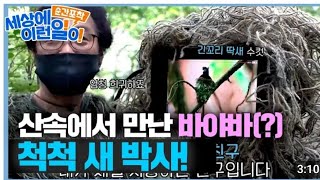 출처 Sbs순간포착 Https://Youtu.be/Bx-2V8Qxdmu. Sbs 순간포착 세상에 이런일이 2823.07.29일 토요일저녁 방송분(되지빠귀 육추 2차번식 늦은새)