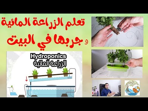 تعلم الزراعة المائية بطريقة سهلة و جربها في البيت